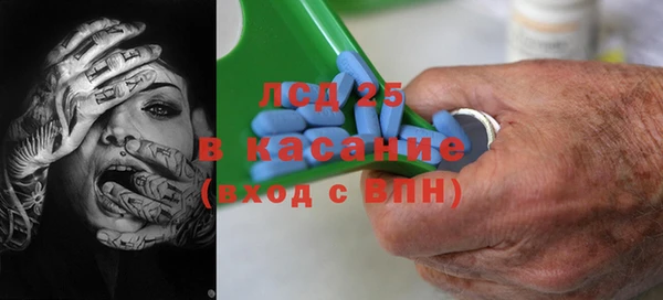 ГАЛЛЮЦИНОГЕННЫЕ ГРИБЫ Пестово