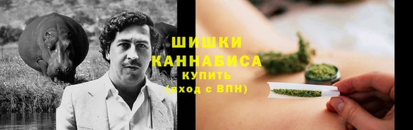 шишки Переславль-Залесский
