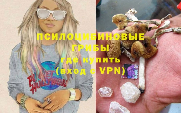 ГАЛЛЮЦИНОГЕННЫЕ ГРИБЫ Пестово