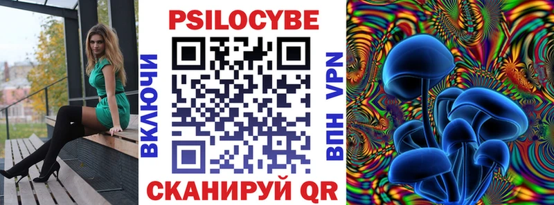 Галлюциногенные грибы Psilocybe Кудрово