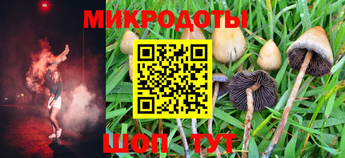 Кудрово  Псилоцибиновые грибы ЛСД  Вход с VPN  сколько стоит  Псилоцибиновые грибы ЛСД 